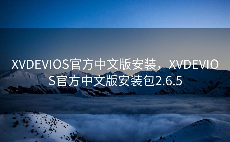 XVDEVIOS官方中文版安装，XVDEVIOS官方中文版安装包2.6.5